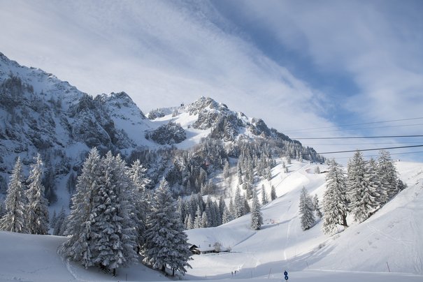 Winterbild Bründling Hochfelln